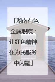 湖南有色金属职院：让红色精神在为民服务中闪耀