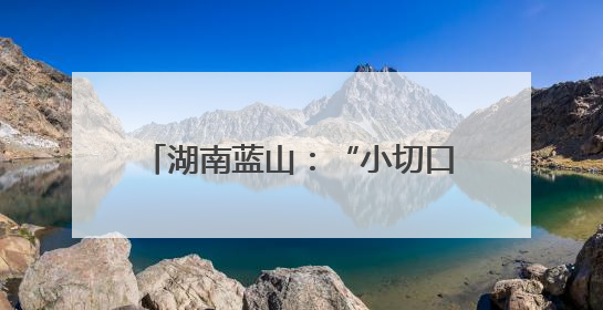 湖南蓝山：“小切口”推动“大民生”