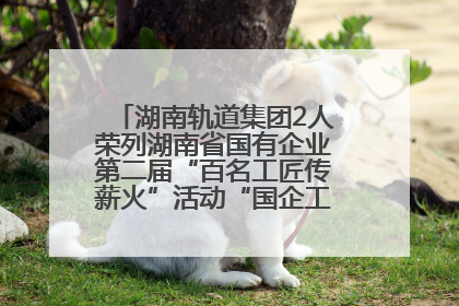 湖南轨道集团2人荣列湖南省国有企业第二届“百名工匠传薪火”活动“国企工匠”人才宣传名单