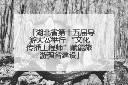 湖北省第十五届导游大赛举行 “文化传播工程师”赋能旅游强省建设
