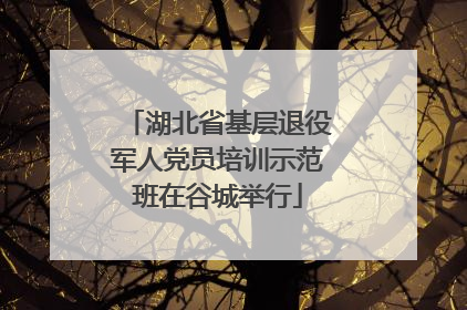 湖北省基层退役军人党员培训示范班在谷城举行