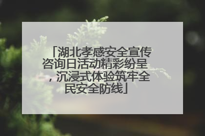 湖北孝感安全宣传咨询日活动精彩纷呈，沉浸式体验筑牢全民安全防线