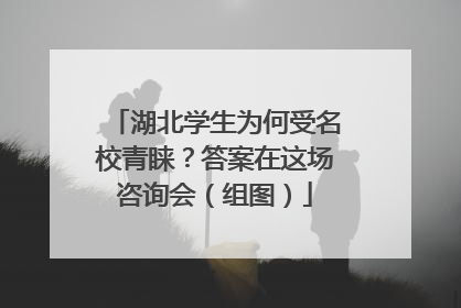 湖北学生为何受名校青睐？答案在这场咨询会（组图）
