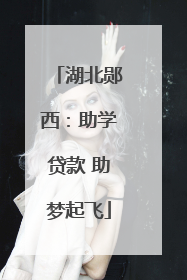 湖北郧西：助学贷款 助梦起飞