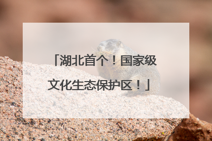 湖北首个！国家级文化生态保护区！