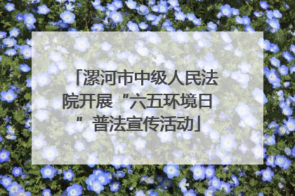 漯河市中级人民法院开展“六五环境日”普法宣传活动