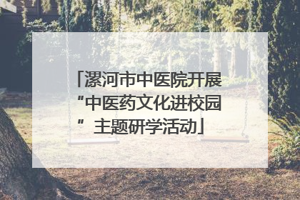 漯河市中医院开展“中医药文化进校园”主题研学活动