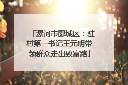 漯河市郾城区：驻村第一书记王元明带领群众走出致富路