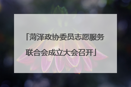 菏泽政协委员志愿服务联合会成立大会召开