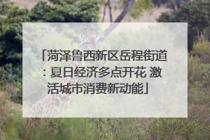 菏泽鲁西新区岳程街道：夏日经济多点开花 激活城市消费新动能