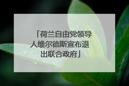 荷兰自由党领导人维尔德斯宣布退出联合政府