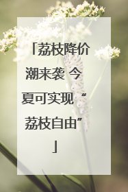 荔枝降价潮来袭 今夏可实现“荔枝自由”