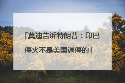 莫迪告诉特朗普：印巴停火不是美国调停的