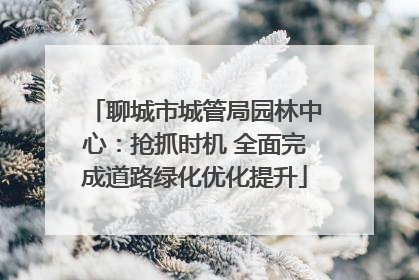 聊城市城管局园林中心：抢抓时机 全面完成道路绿化优化提升