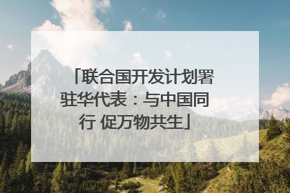 联合国开发计划署驻华代表：与中国同行 促万物共生