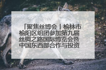 聚焦丝博会丨榆林市榆阳区组团参加第九届丝绸之路国际博览会暨中国东西部合作与投资贸易洽谈会