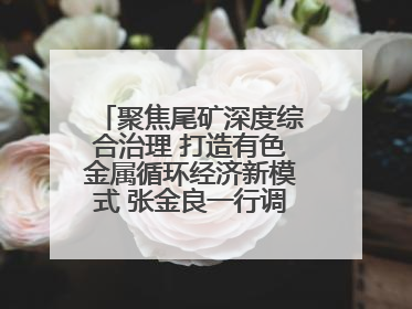 聚焦尾矿深度综合治理 打造有色金属循环经济新模式 张金良一行调研栾川县尾矿库综合治理工作