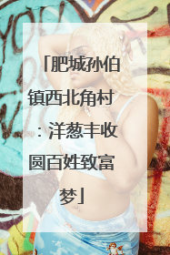 肥城孙伯镇西北角村：洋葱丰收圆百姓致富梦