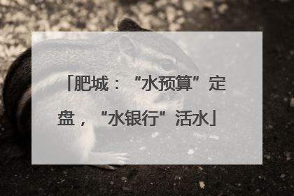 肥城：“水预算”定盘，“水银行”活水