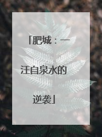 肥城：一汪自泉水的逆袭