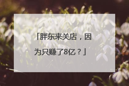 胖东来关店，因为只赚了8亿？