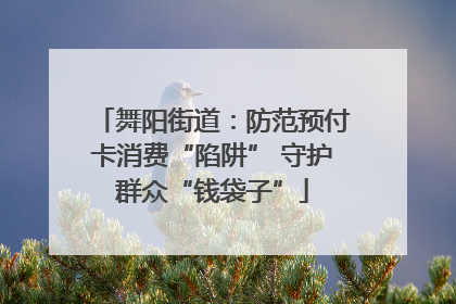 舞阳街道：防范预付卡消费“陷阱” 守护群众“钱袋子”