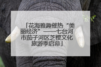 花海雅趣催热“美丽经济”——七台河市茄子河区芝樱文化旅游季启幕