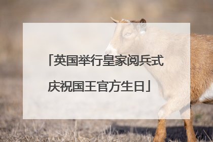 英国举行皇家阅兵式庆祝国王官方生日