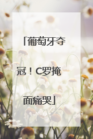 葡萄牙夺冠！C罗掩面痛哭