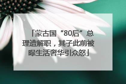蒙古国“80后”总理遭解职，其子此前被曝生活奢华引众怒