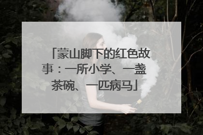 蒙山脚下的红色故事：一所小学、一盏茶碗、一匹病马