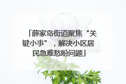 薛家岛街道聚焦“关键小事”，解决小区居民急难愁盼问题