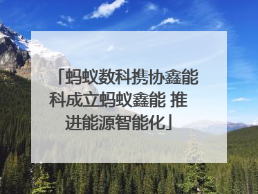 蚂蚁数科携协鑫能科成立蚂蚁鑫能 推进能源智能化