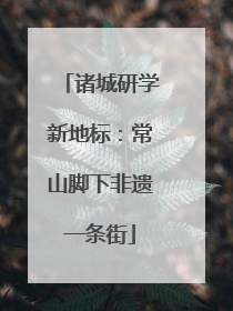 诸城研学新地标：常山脚下非遗一条街
