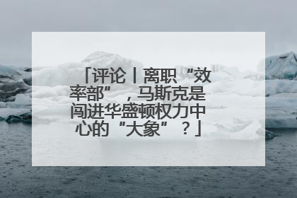 评论丨离职“效率部”，马斯克是闯进华盛顿权力中心的“大象”？