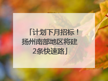 计划下月招标！扬州南部地区将建2条快速路