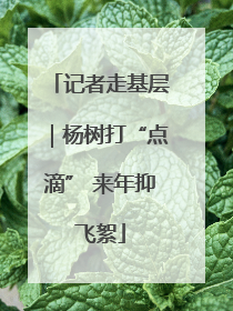 记者走基层｜杨树打“点滴” 来年抑飞絮
