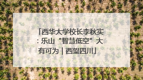西华大学校长李秋实：乐山“智慧低空”大有可为｜西望四川