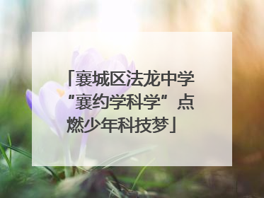 襄城区法龙中学“襄约学科学”点燃少年科技梦