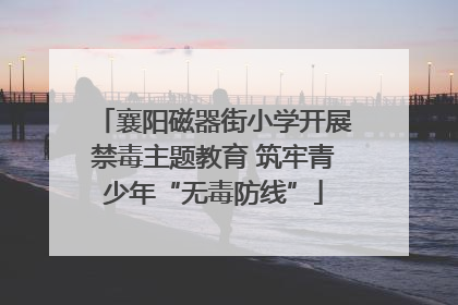襄阳磁器街小学开展禁毒主题教育 筑牢青少年“无毒防线”