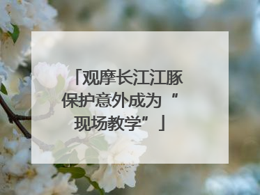 观摩长江江豚保护意外成为“现场教学”