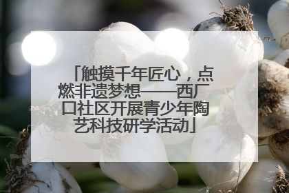 触摸千年匠心，点燃非遗梦想——西厂口社区开展青少年陶艺科技研学活动