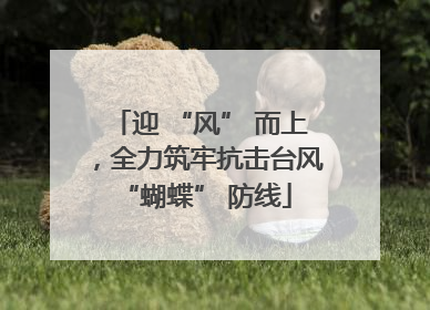 迎 “风” 而上，全力筑牢抗击台风 “蝴蝶” 防线