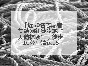 近50名志愿者集结网红徒步地“天鹅林场”，徒步10公里清运150余斤山野垃圾