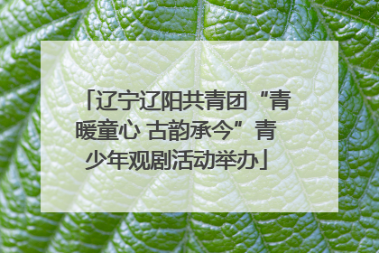 辽宁辽阳共青团“青暖童心 古韵承今”青少年观剧活动举办