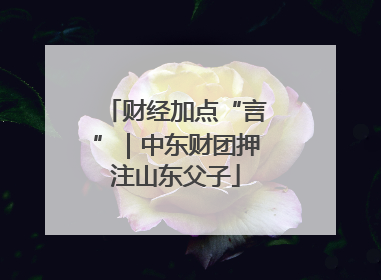 财经加点“言”｜中东财团押注山东父子