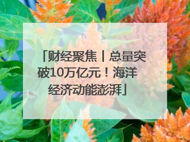 财经聚焦丨总量突破10万亿元！海洋经济动能澎湃
