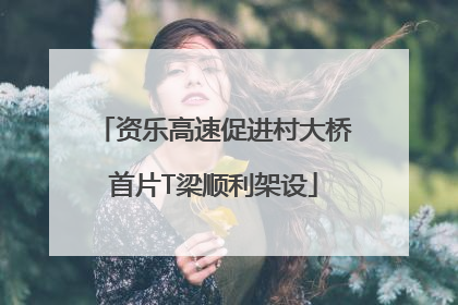 资乐高速促进村大桥首片T梁顺利架设