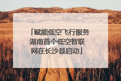 赋能低空飞行服务 湖南首个低空智联网在长沙县启动