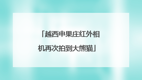 越西申果庄红外相机再次拍到大熊猫